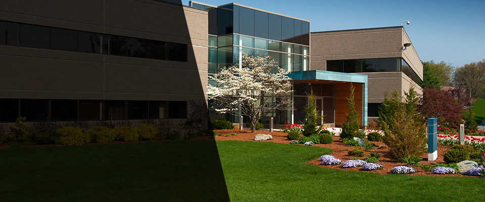 Brookline Landscapers