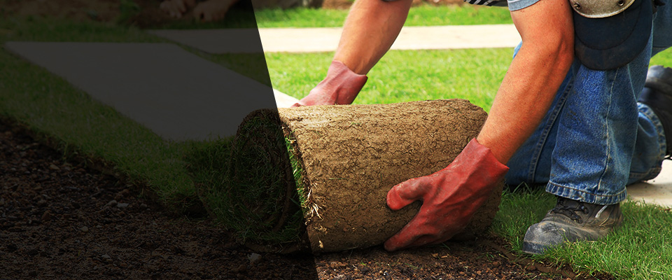 Brookline Landscapers